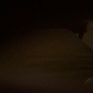 Meet your Posher, Katelynn